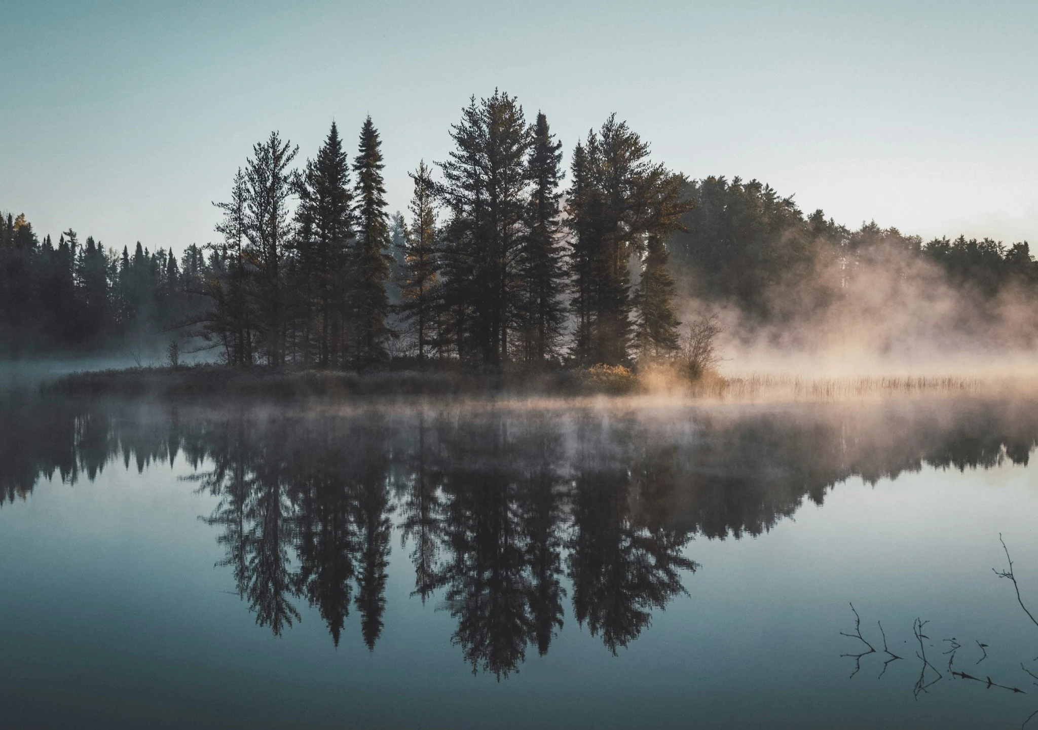 Nordic forest reflected in a still lake with morning mist